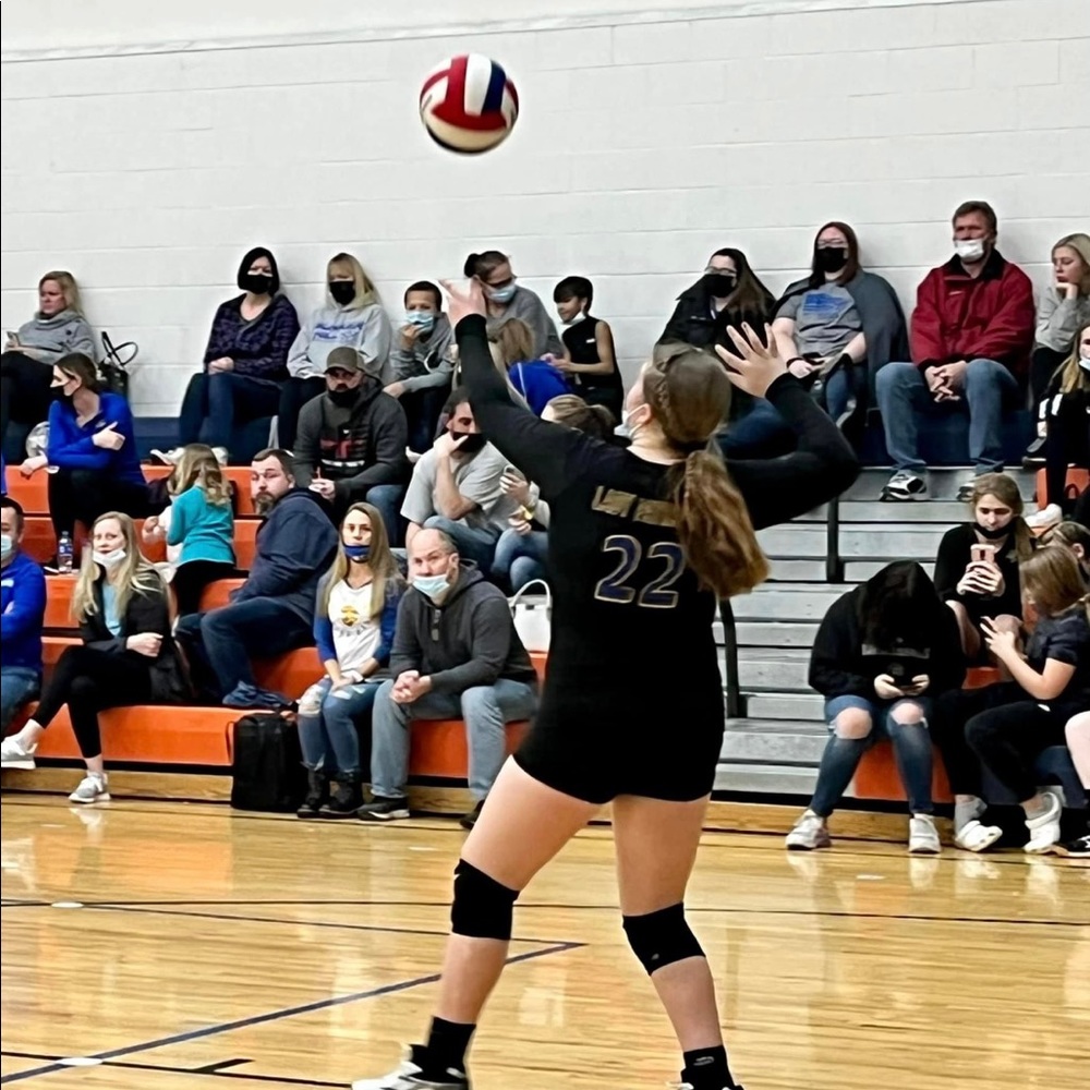 Meet your Posher, Grace